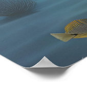 Wanda und ein Puffer Poster (Ecke)