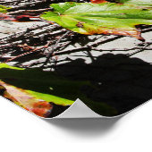 Wandabdeckung Poster (Ecke)