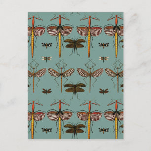 Wandelndes Blatt, Laubheuschrecken und Libellen Postkarte