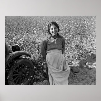 Wanderarbeiter in Cotton Field von Dorothea Lange Poster