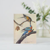 Wanderectopisten Postkarte (Stehend Vorderseite)