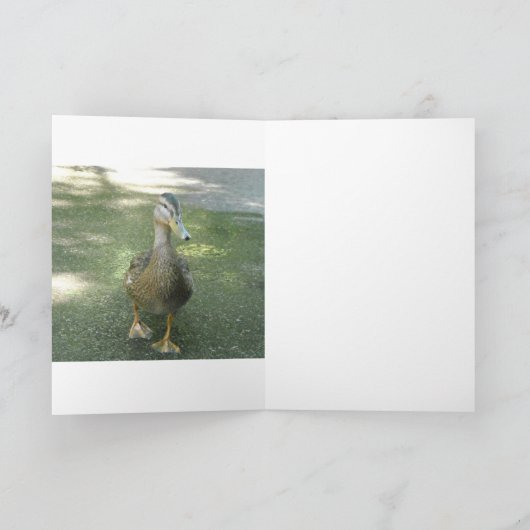 Wanderente Karte (Innenseite)