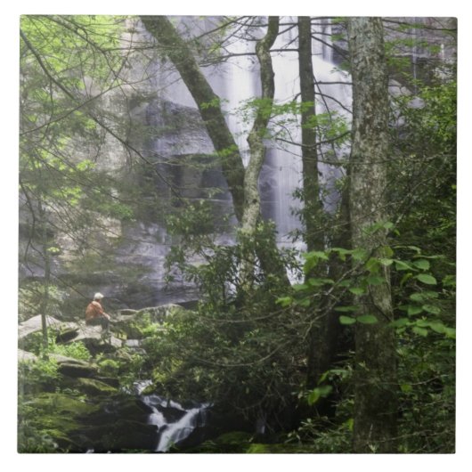 Wanderer bewundert Falls Branch Falls Fliese (Vorderseite)