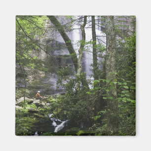 Wanderer bewundert Falls Branch Falls Magnet