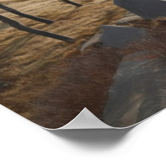 Wanderer in den Hügeln Poster (Ecke)