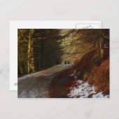 Wanderer Postkarte (Vorne/Hinten)