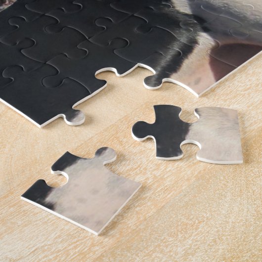 WandererCoonhounds HeulensTreeing Puzzle (Seite)