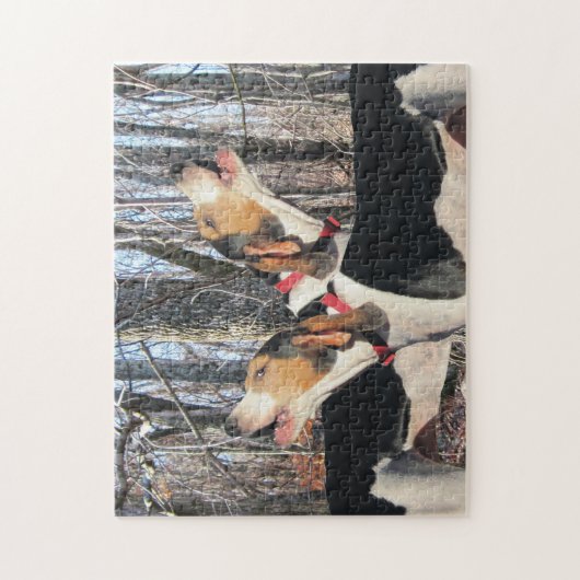 WandererCoonhounds HeulensTreeing Puzzle (Vertikal)