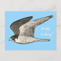 Wanderfalke Buntstift HAPPY BIRTHDAY