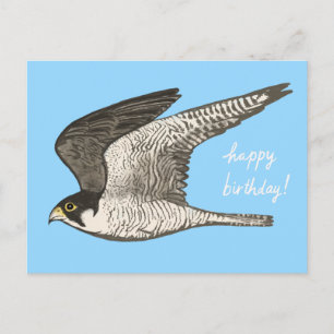 Wanderfalke Buntstift HAPPY BIRTHDAY Postkarte