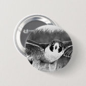 Wanderfalke Button (Vorne & Hinten)