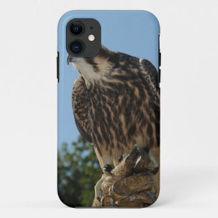 Wanderfalke Case-Mate iPhone Hülle