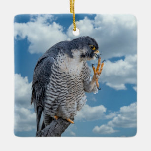 Wanderfalke entlang des Hudson River Keramikornament