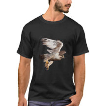 Wanderfalke fliegt