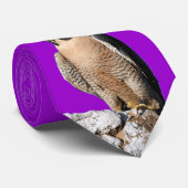 Wanderfalke, Hanford Falcons Krawatte (Gerollt)