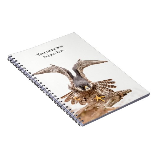 Wanderfalke Notizblock (Rechte Seite)