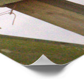 Wanderfalke Poster (Ecke)
