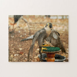 Wanderfalke, Raubvogel Puzzlespiel Puzzle