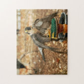 Wanderfalke, Raubvogel Puzzlespiel Puzzle (Vertikal)