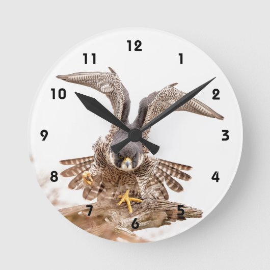 Wanderfalke Runde Wanduhr (Vorderseite)