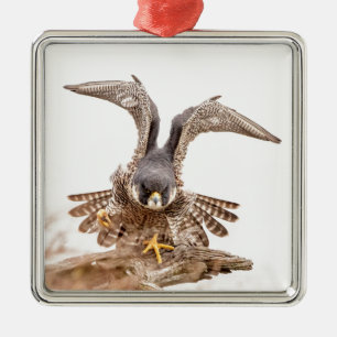 Wanderfalke Silbernes Ornament