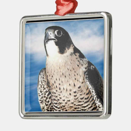 Wanderfalke Silbernes Ornament (Links)