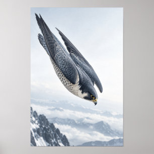 Wanderfalke stürzt über schneebedeckte Berge Wildn Poster