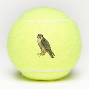 Wanderfalke Tennisbälle