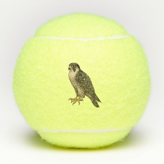 Wanderfalke Tennisbälle (Vorderseite)