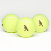 Wanderfalke Tennisbälle (Multi)