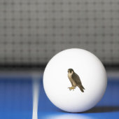 Wanderfalke Tischtennisball (Netto)