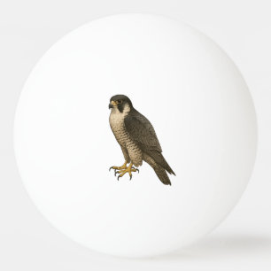 Wanderfalke Tischtennisball