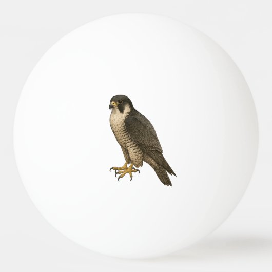 Wanderfalke Tischtennisball (Vorderseite)