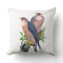 Wanderfalke Vintage Kunst