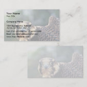 Wanderfalke Visitenkarte (Vorne/Hinten)