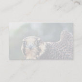 Wanderfalke Visitenkarte (Rückseite)