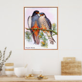 Wanderfalken Poster (Küche)