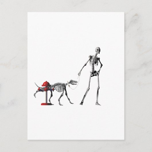 Wanderhund Postkarte (Vorderseite)