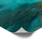 Wanderlust in Zelenci, Slowenien Poster (Ecke)