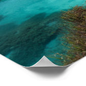 Wanderlust in Zelenci, Slowenien Poster (Ecke)