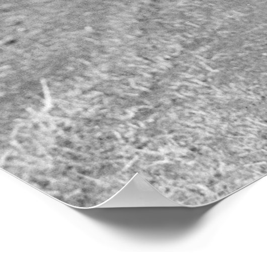 Wandern - 1935 poster (Ecke)