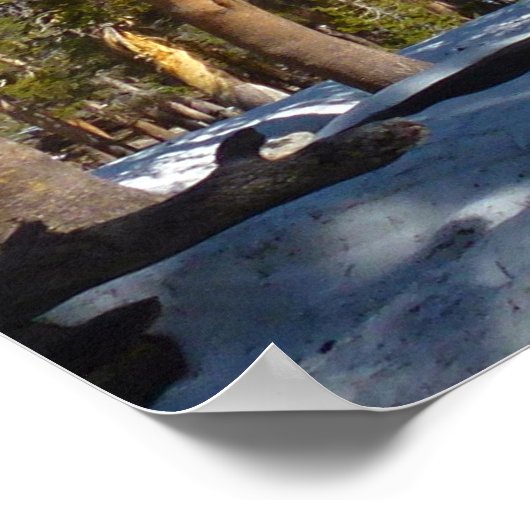 Wandern ab Mitchell Peak in Sequoia Poster (Ecke)