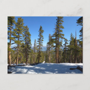 Wandern ab Mitchell Peak in Sequoia Postkarte