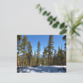 Wandern ab Mitchell Peak in Sequoia Postkarte (Stehend Vorderseite)