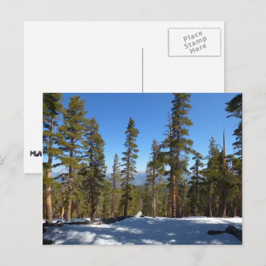 Wandern ab Mitchell Peak in Sequoia Postkarte (Vorne/Hinten)