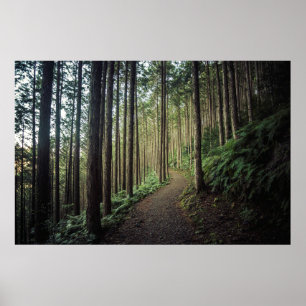 Wandern im Gebirge   Wakayama, Japan Poster
