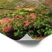 Wandern im Smaragdgrünen Poolbereich im Zion Natio Poster (Ecke)