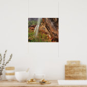 Wandern im Smaragdgrünen Poolbereich im Zion Natio Poster (Küche)