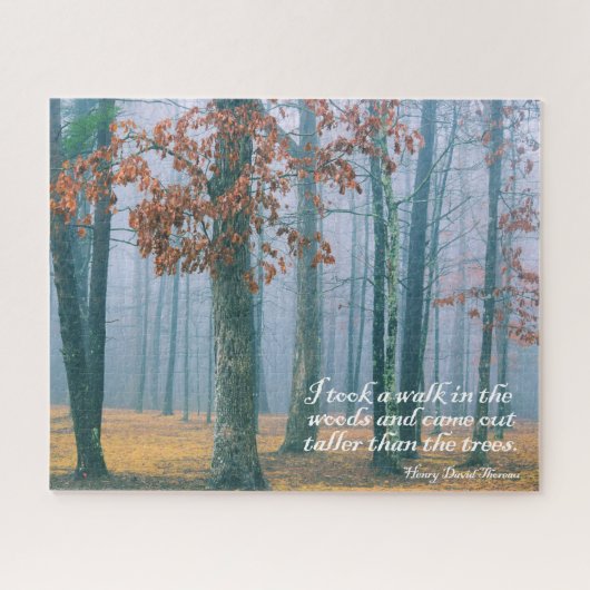 Wandern im Wald - 16x20 - 520 Stk. Puzzle (Horizontal)