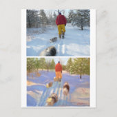 Wandern im Wald Postkarte (Vorderseite)